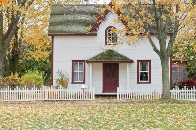 leaves in a yard